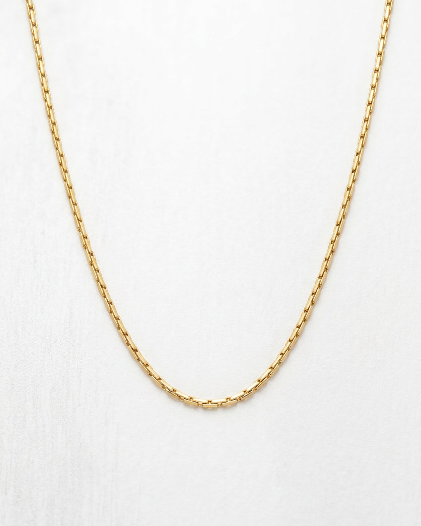 Dainty Boston Chain Necklace | Gold