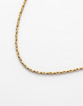Dainty Boston Chain Necklace | Gold