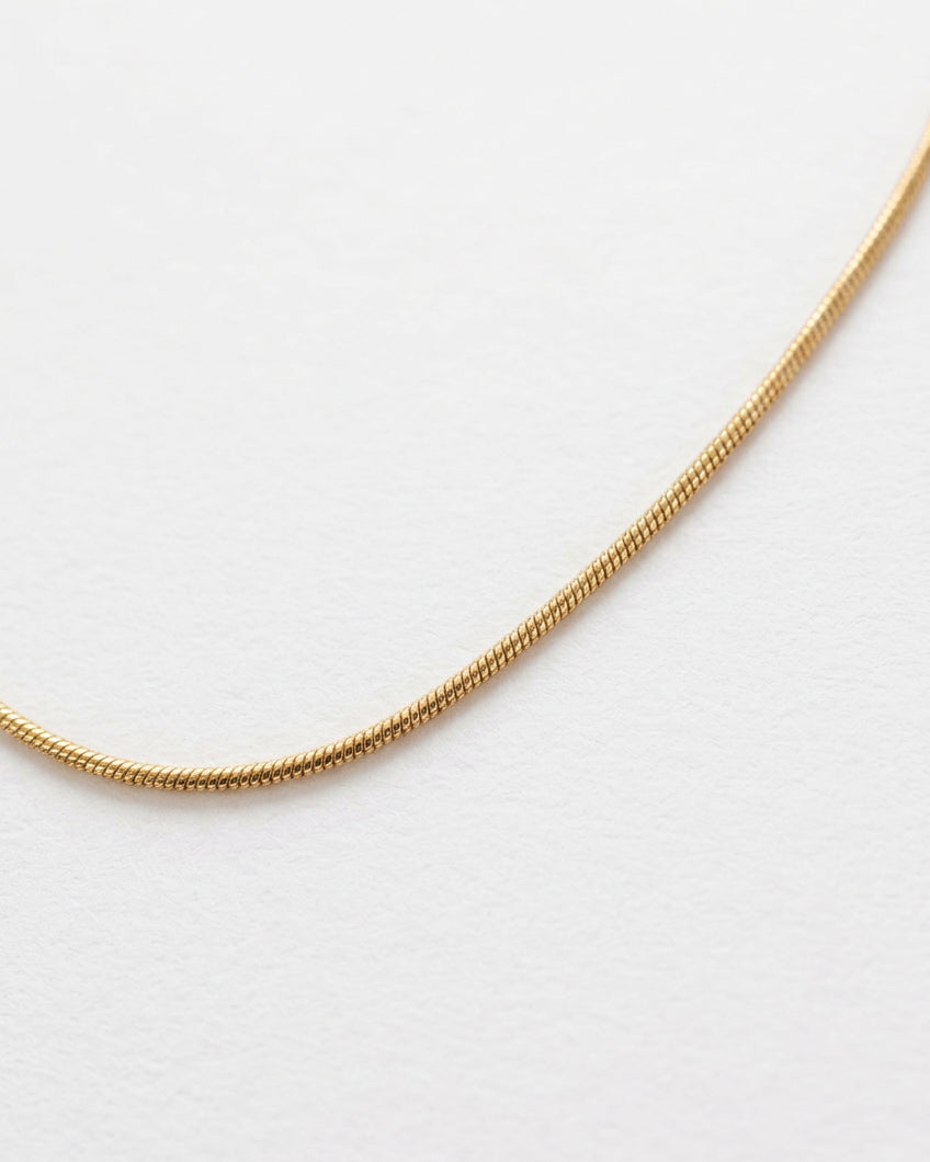 Dainty Snake Chain Necklace | Gold